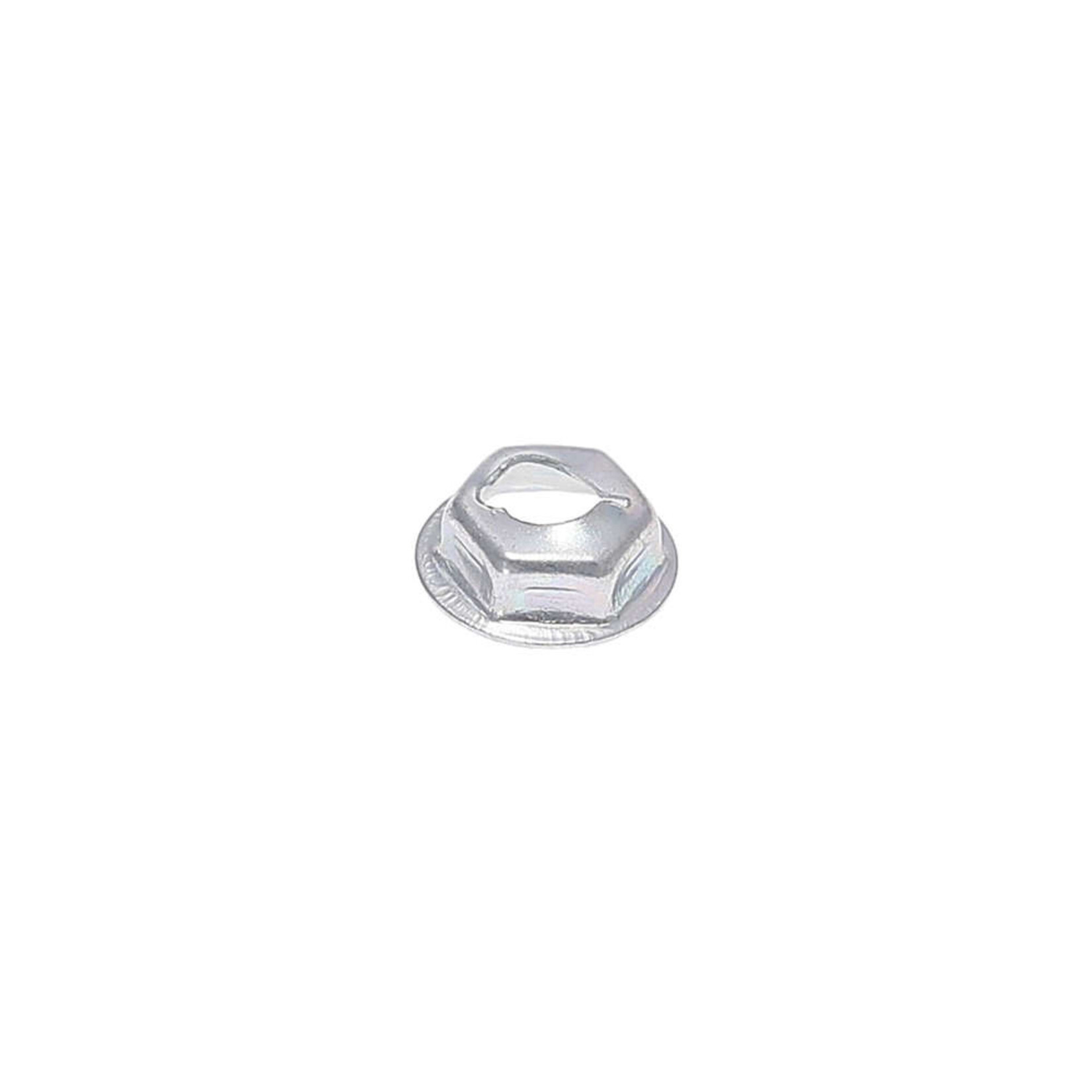 Napoleon Nut    {Bin C-D1-8}