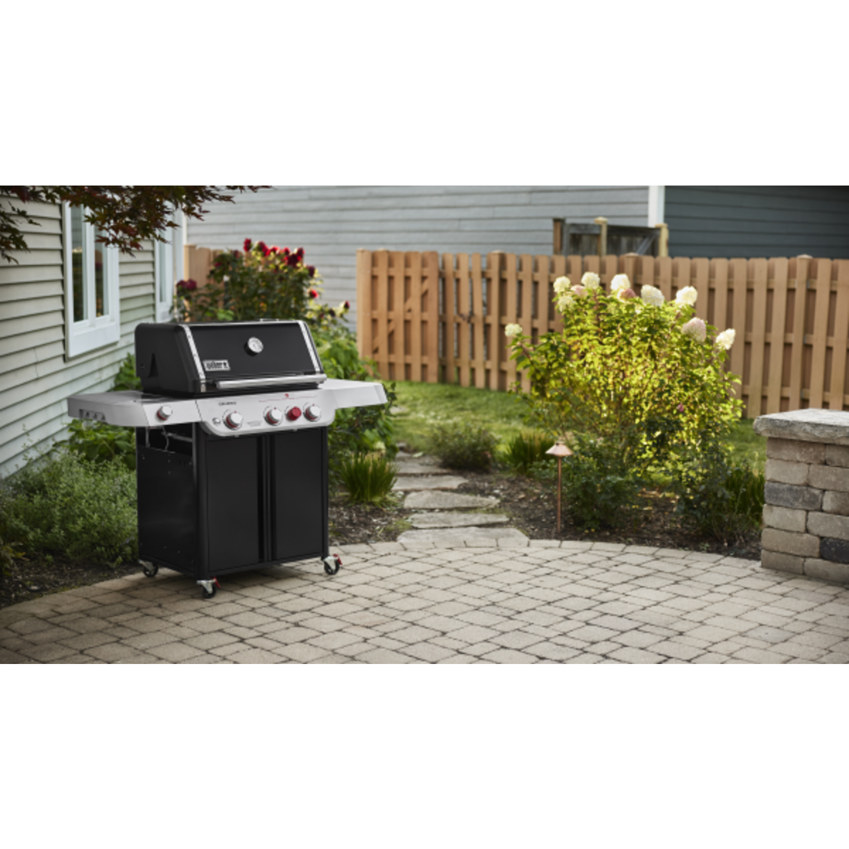 Weber Genesis E-335C NG SS