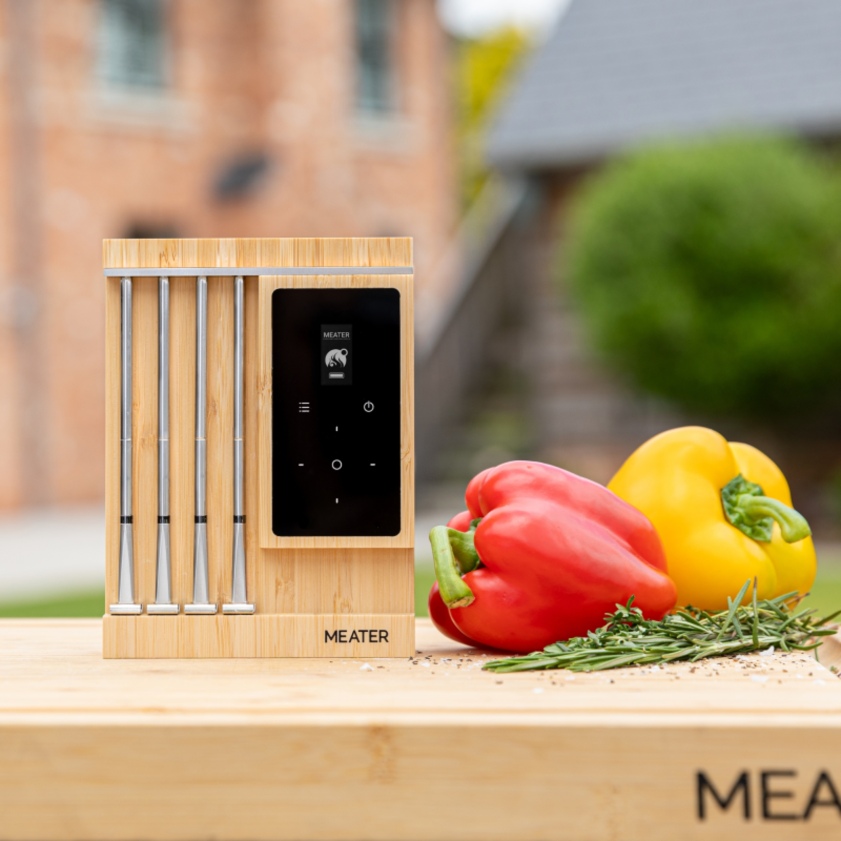 Traeger Meater Pro XL