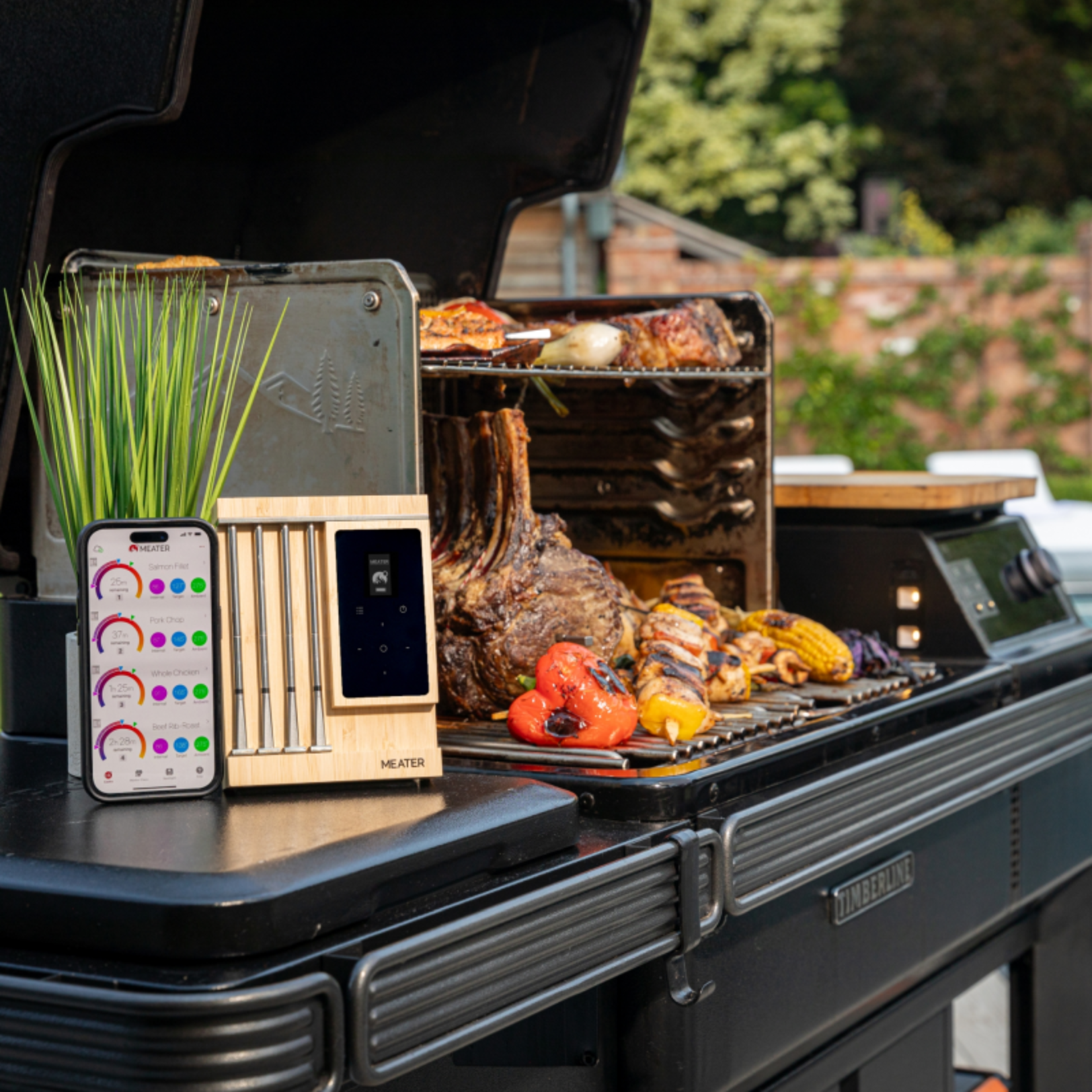 Traeger Meater Pro XL {3}