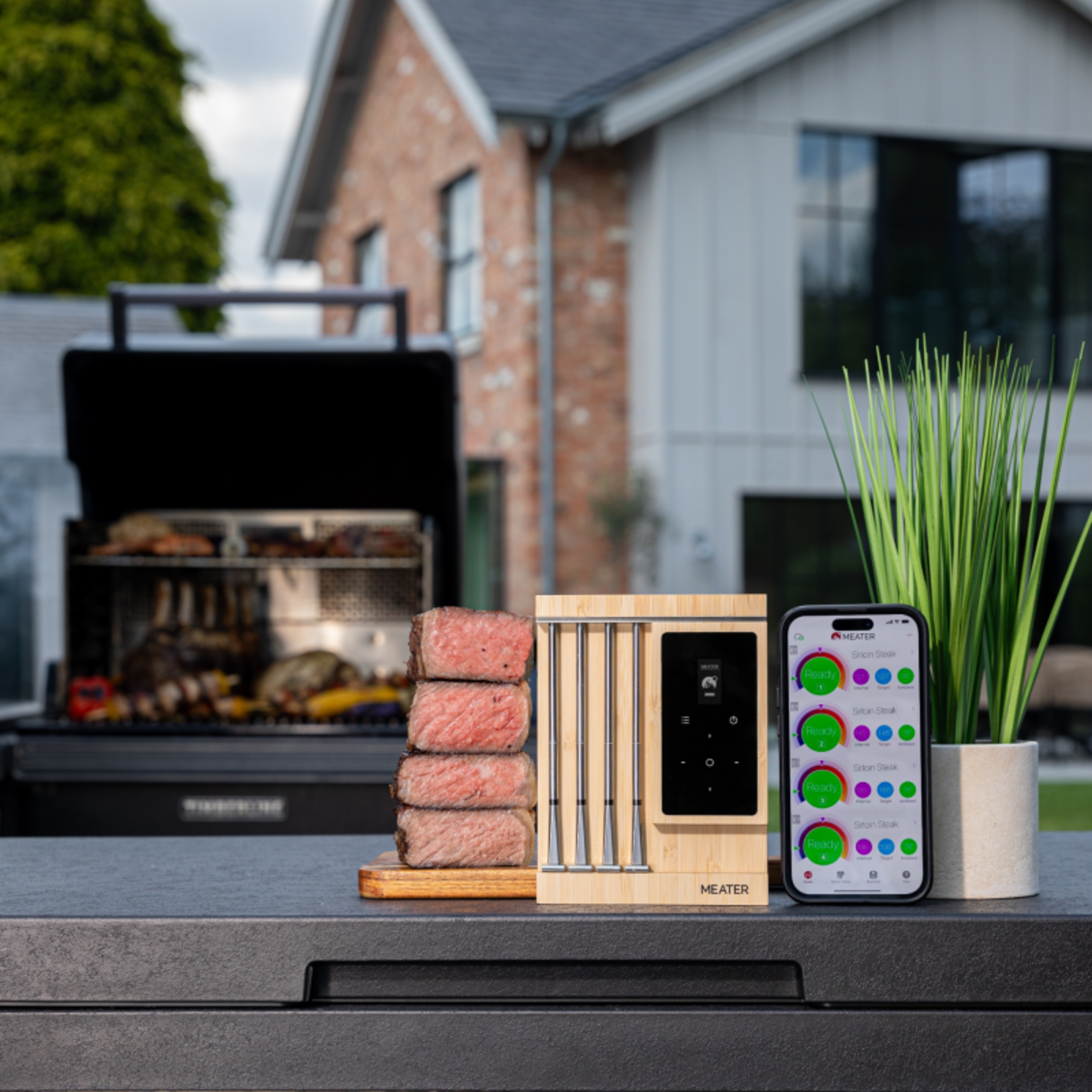 Traeger Meater Pro XL {3}