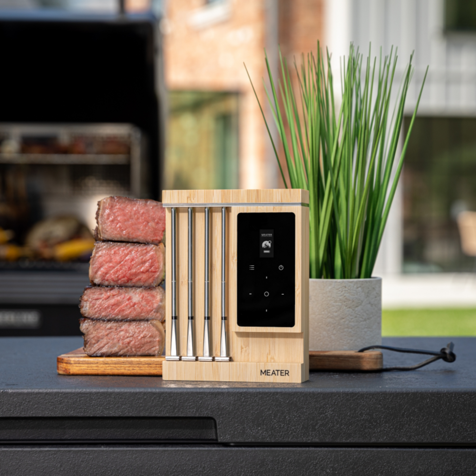 Traeger Meater Pro XL {3}