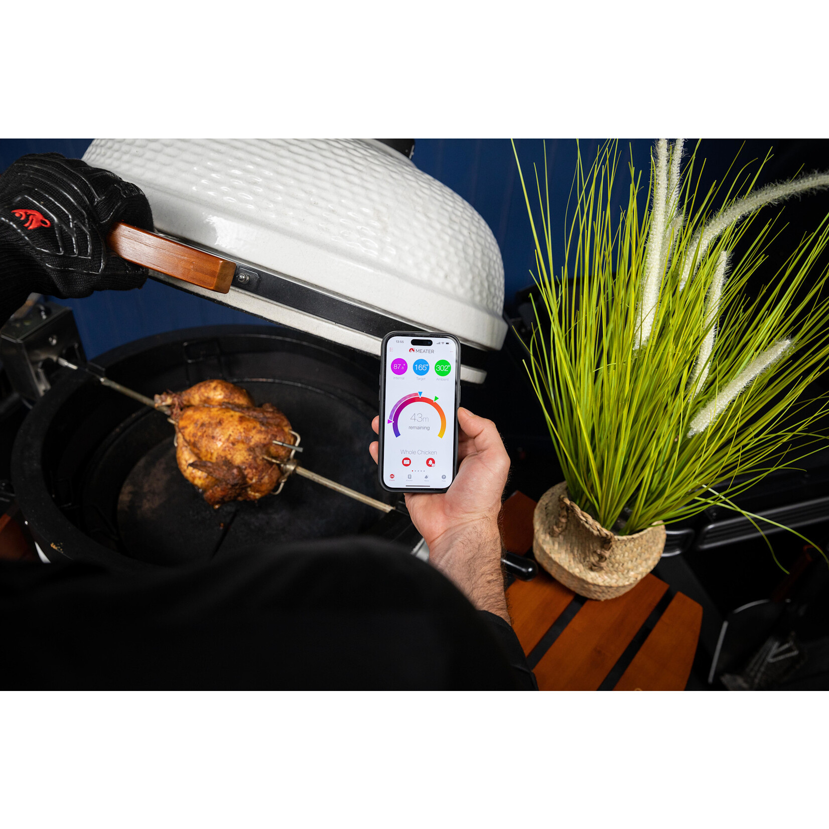 Traeger Meater Pro  ($40 Off Holiday 2025)