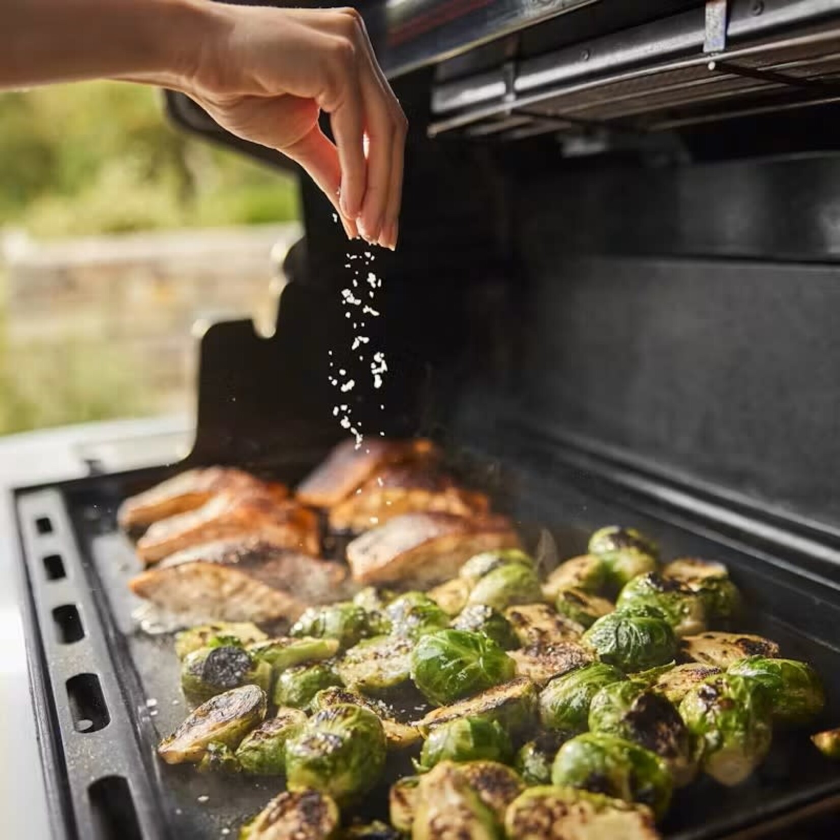 Weber Summit FS38 E Black NG
