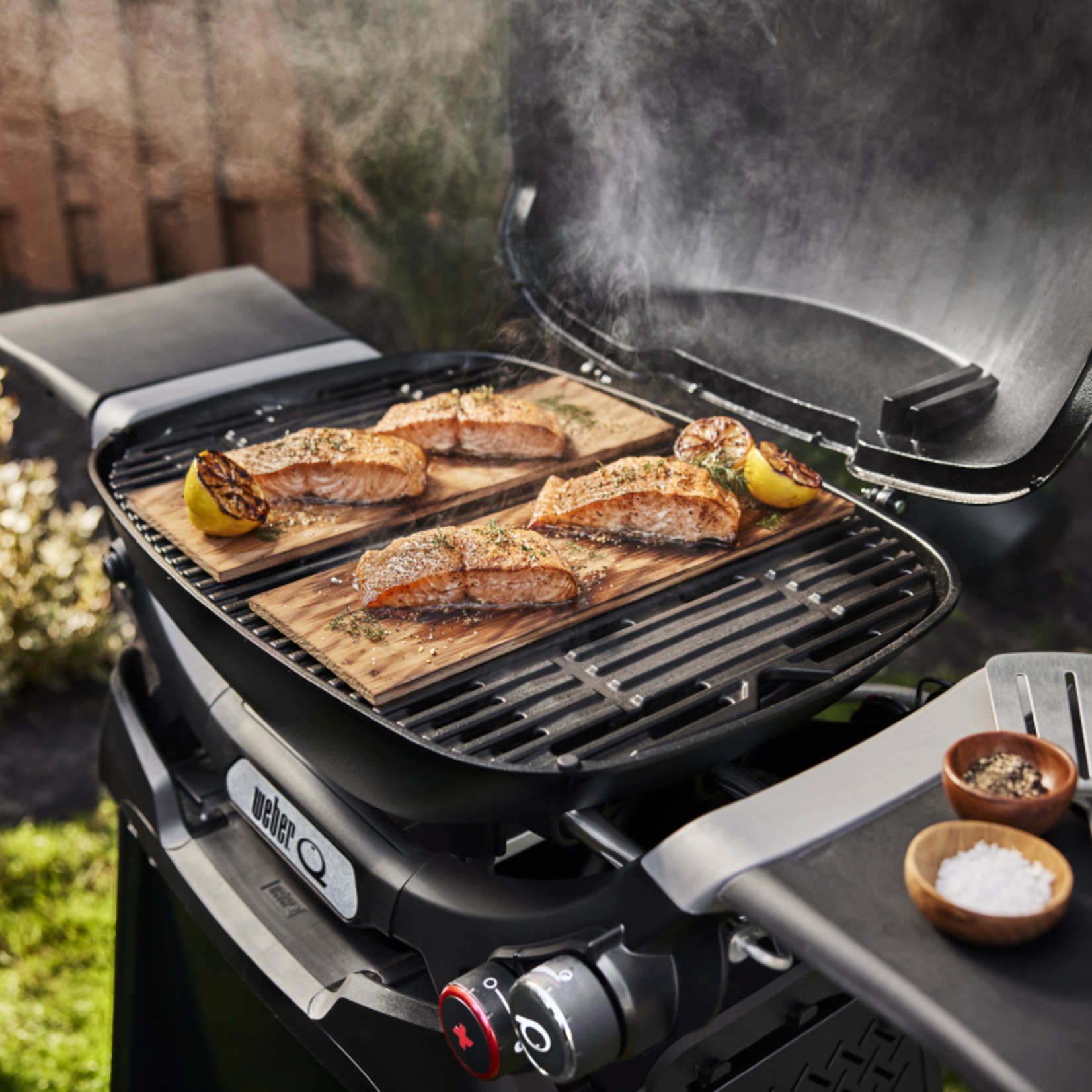 Weber Q 2800N+ LP Grill (with stand)