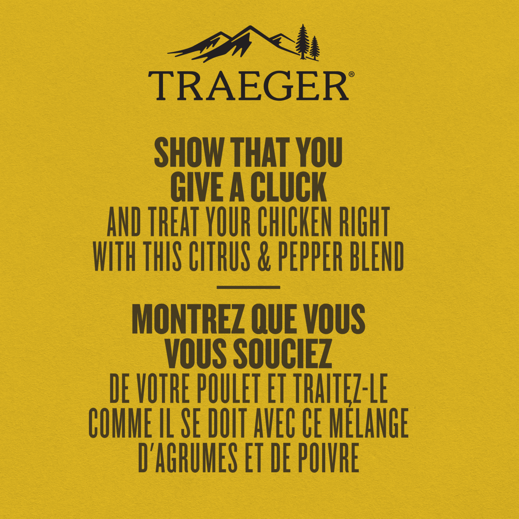 Traeger Chicken Rub 12.5 Oz