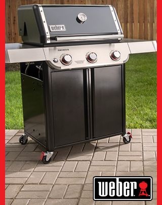 Weber Spring Sale