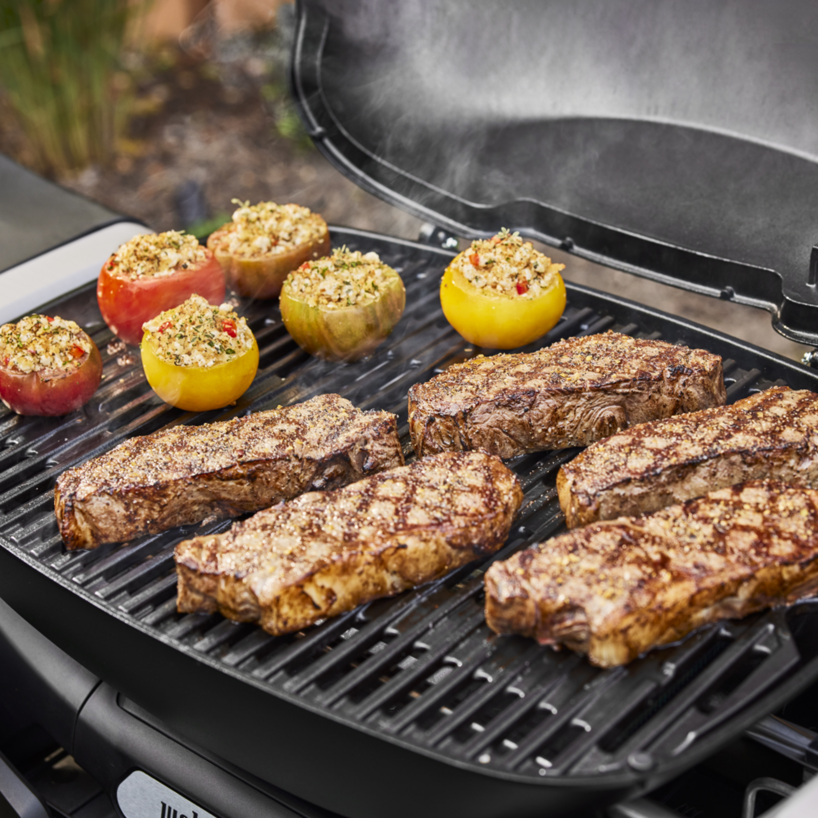 Weber Q 2800N+ Mdnt Blk