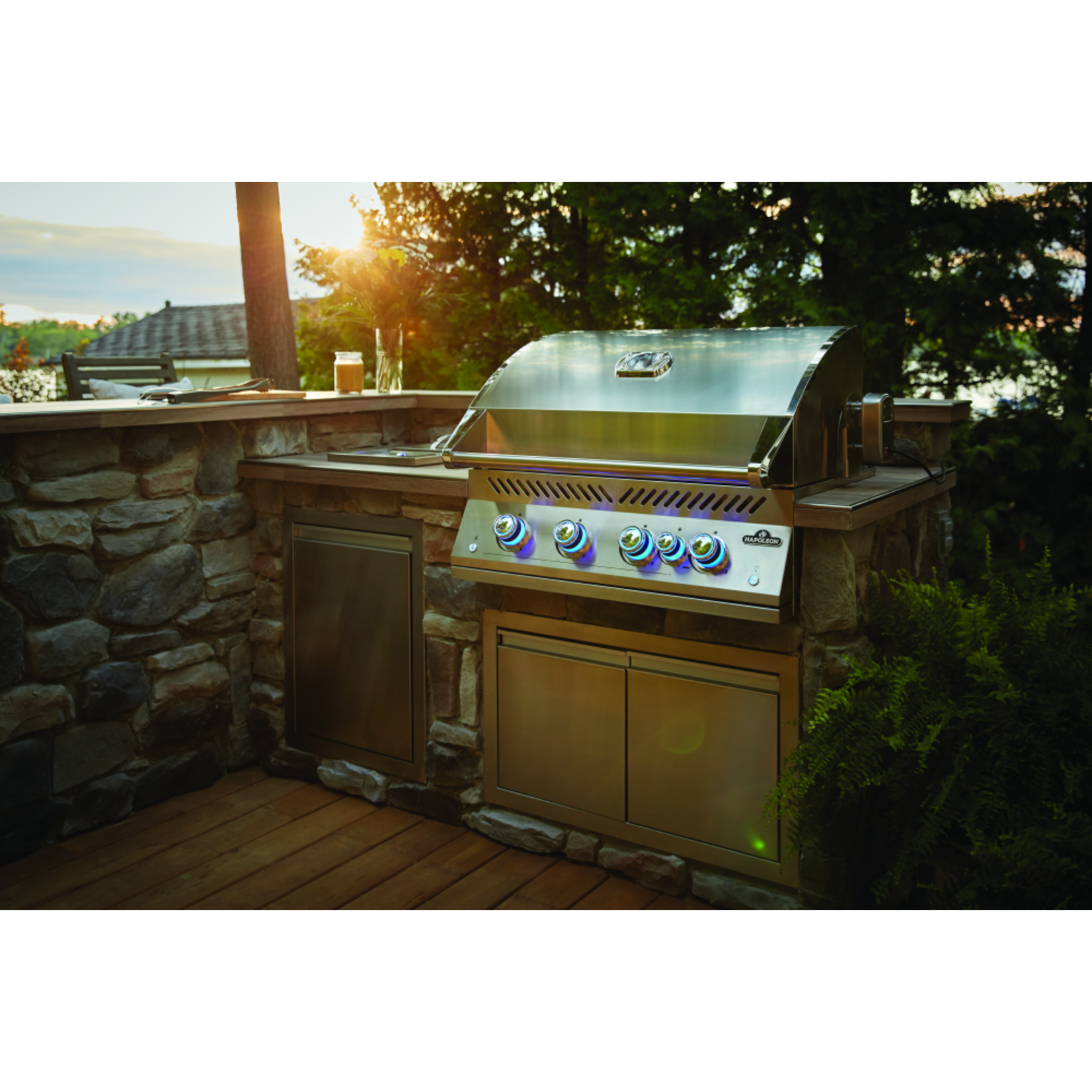 Napoleon Built-In 700 Series 32" with Infrared Rear Burner Natural Gas, Stainless Steel