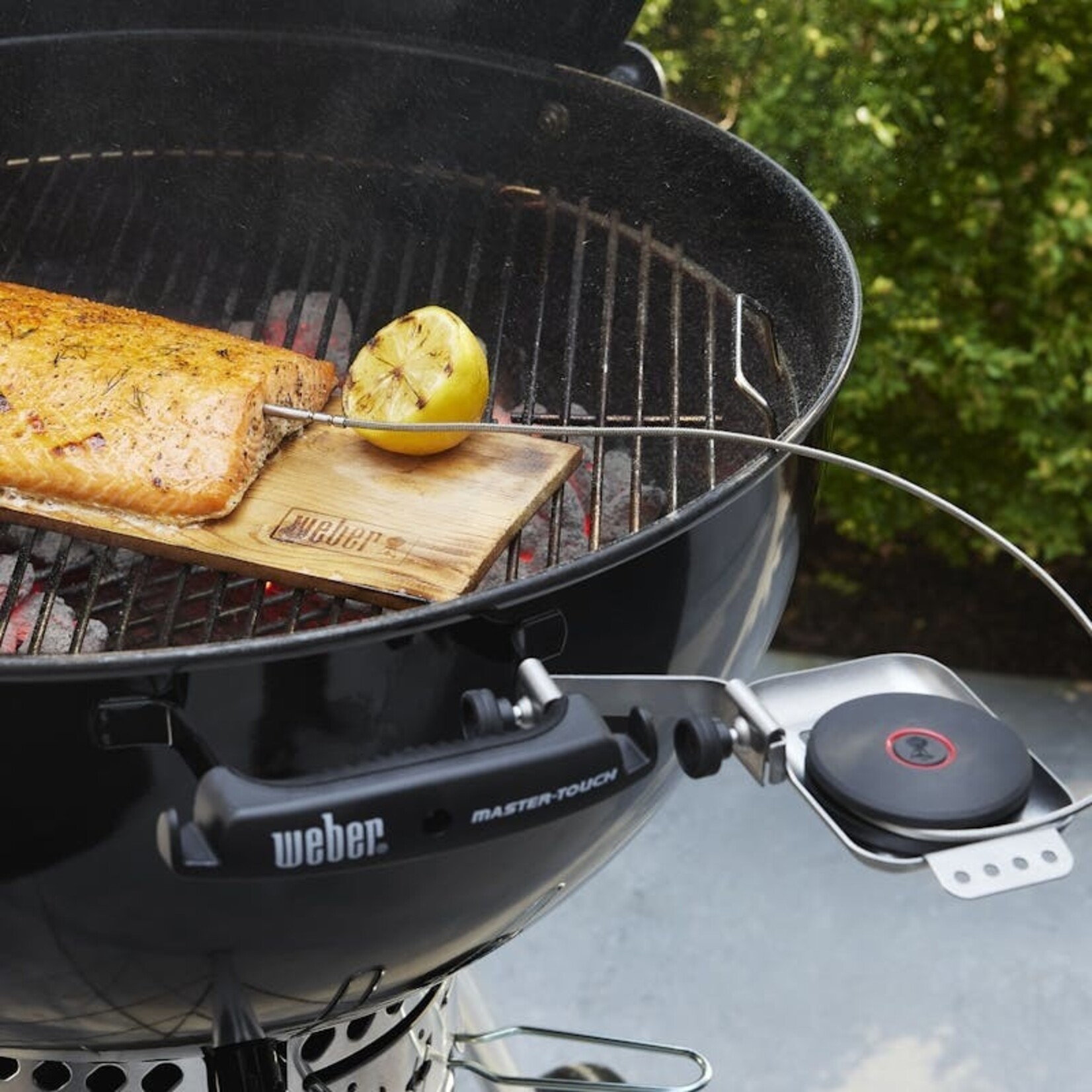 Weber Smart Probe And Grate Sensor