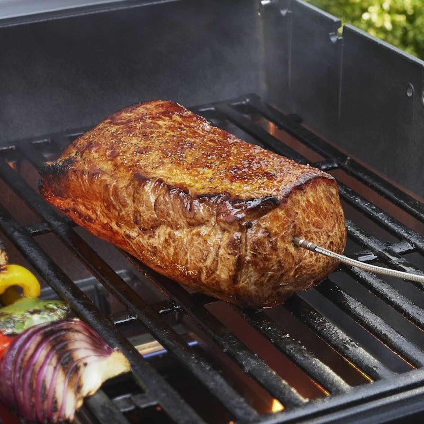 Weber Smart Probe And Grate Sensor