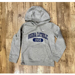 Nike Youth Hoodie--Gray