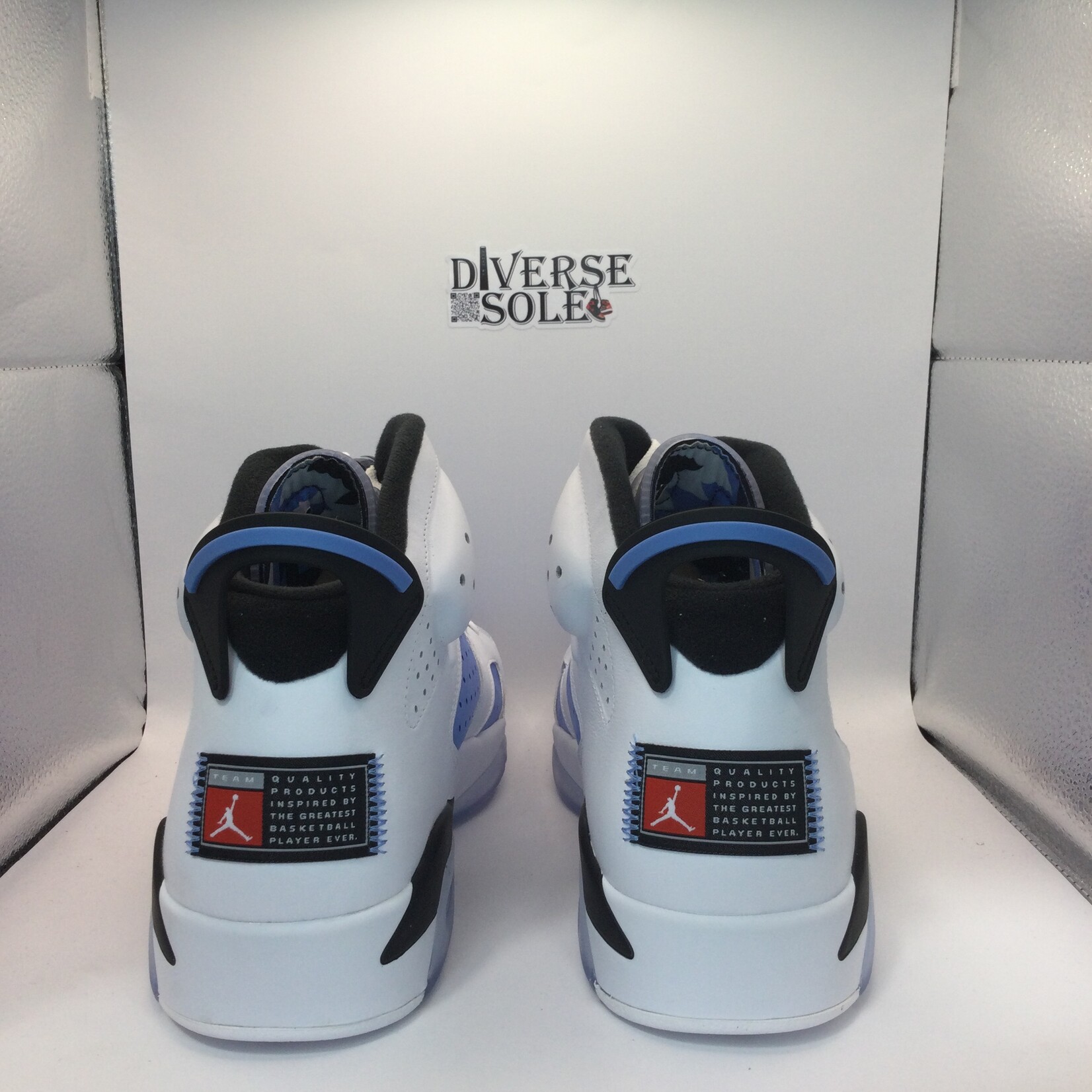 Jordan 6 UNC