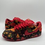 Nike SB Dunk Low The Wizard of Oz Poppy Field