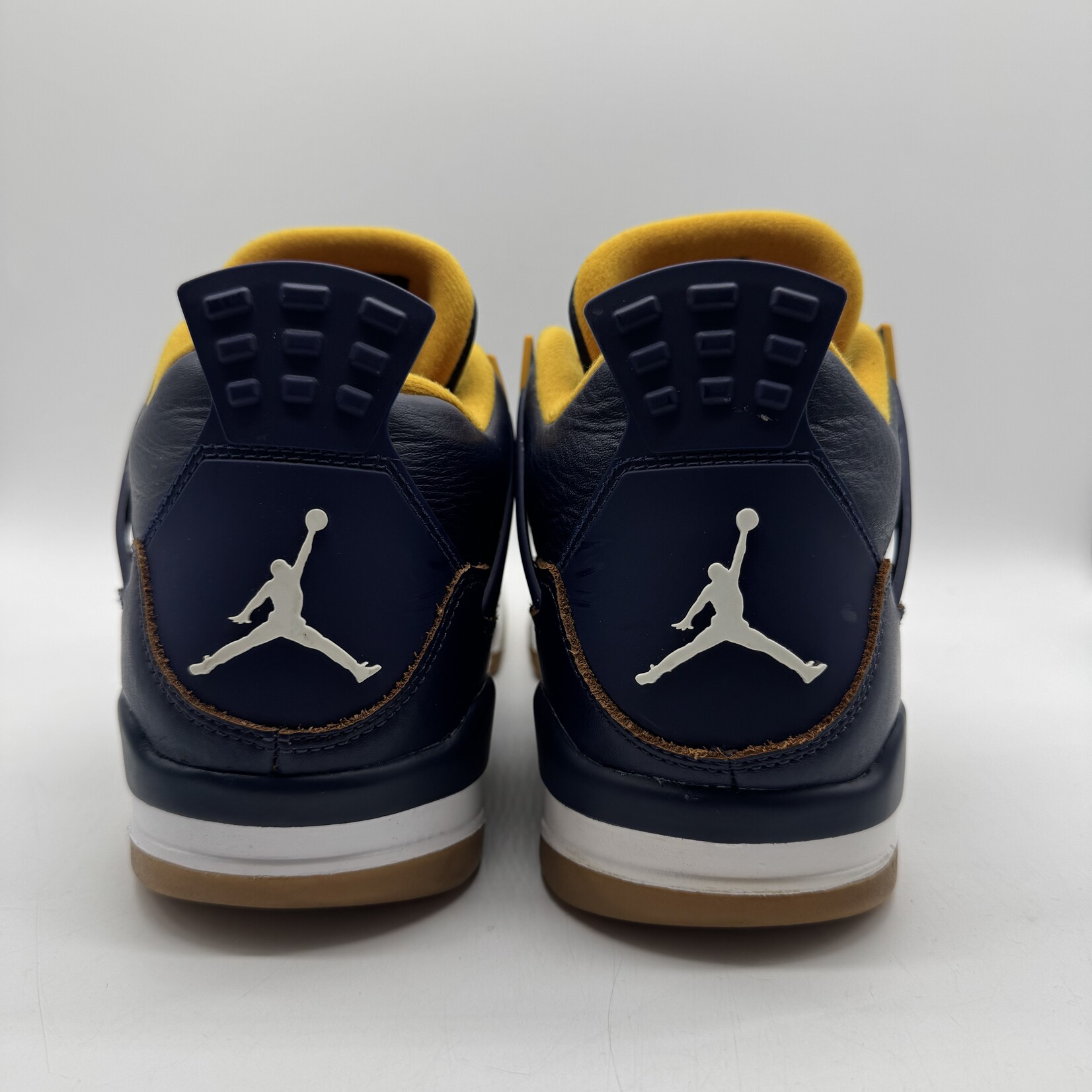 Jordan 4 Retro Dunk From Above