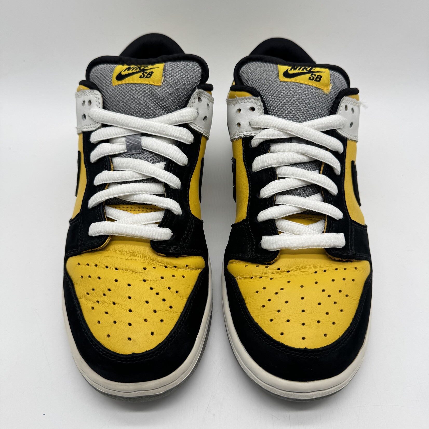 Nike SB Dunk Low Bic