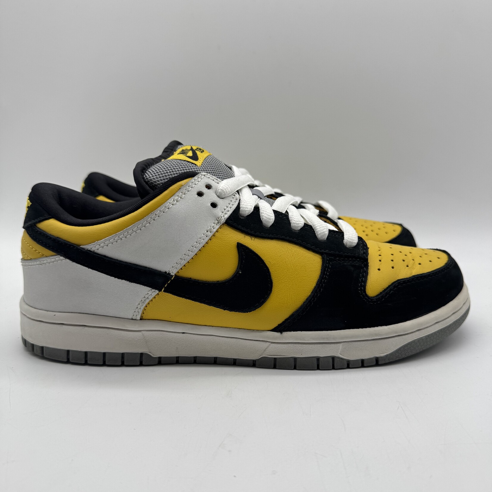 Nike SB Dunk Low Bic