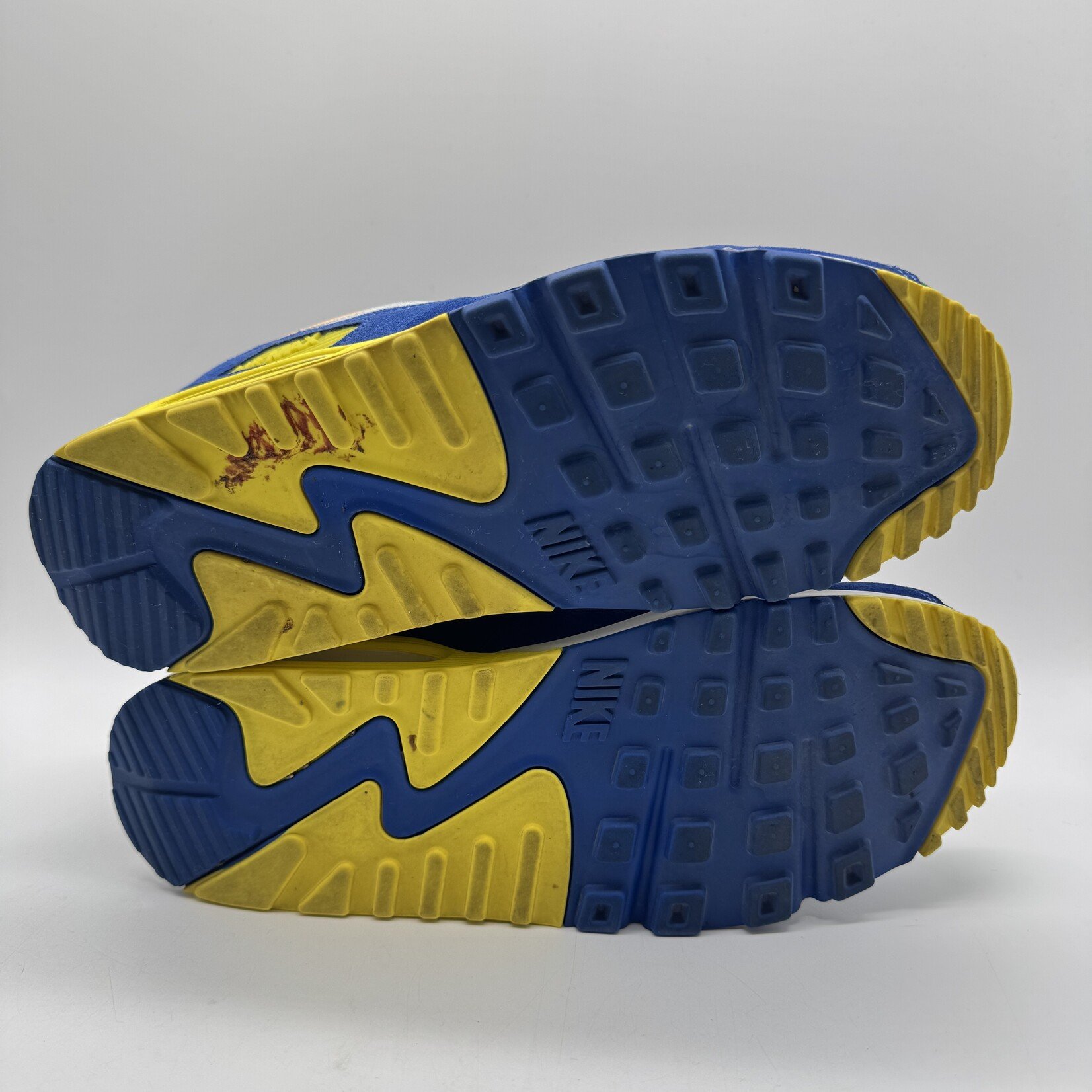 Nike Air Max 90 Viotech