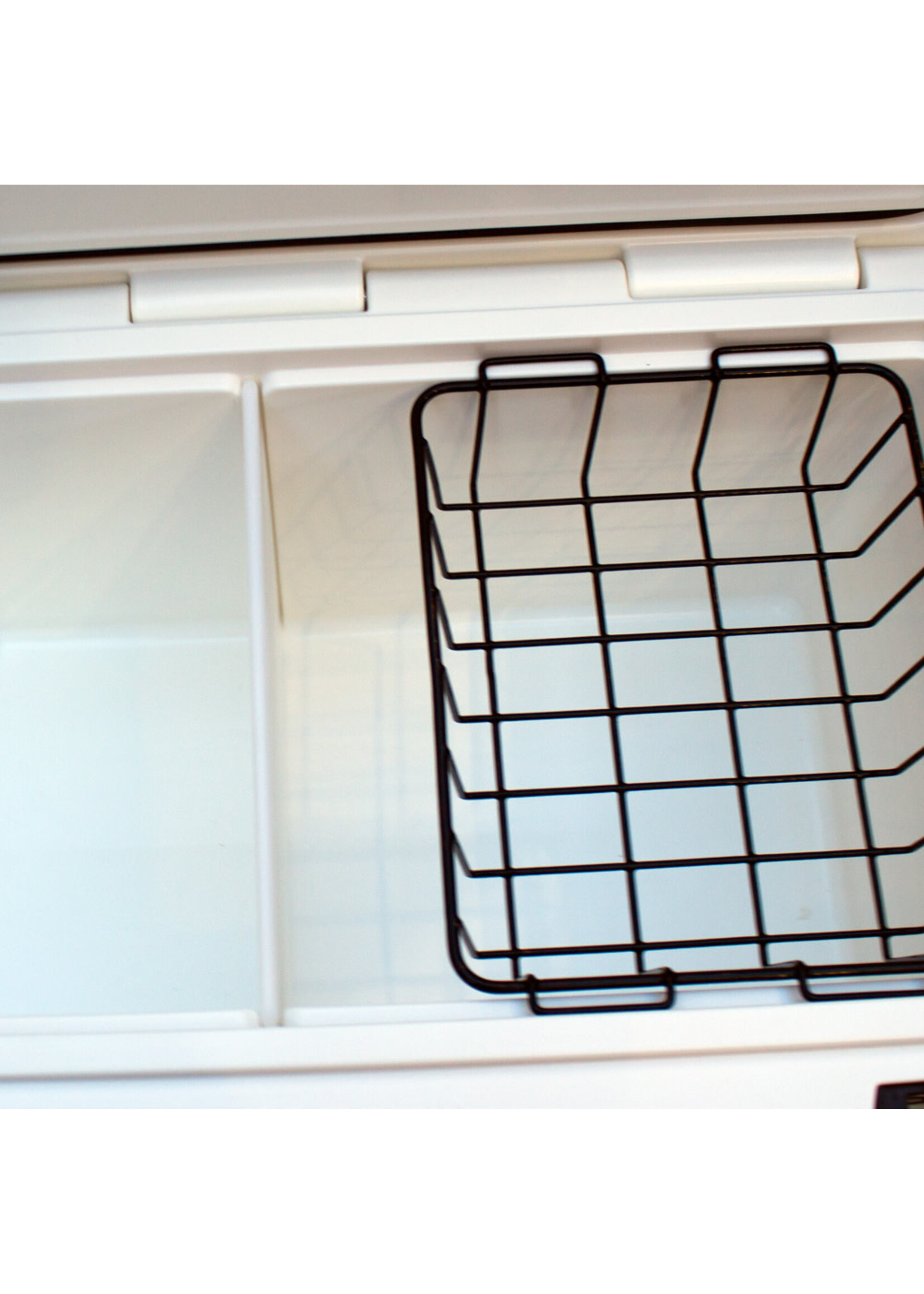 Big Frig Big Frig Ralph Engelstad Arena Cooler 70qt