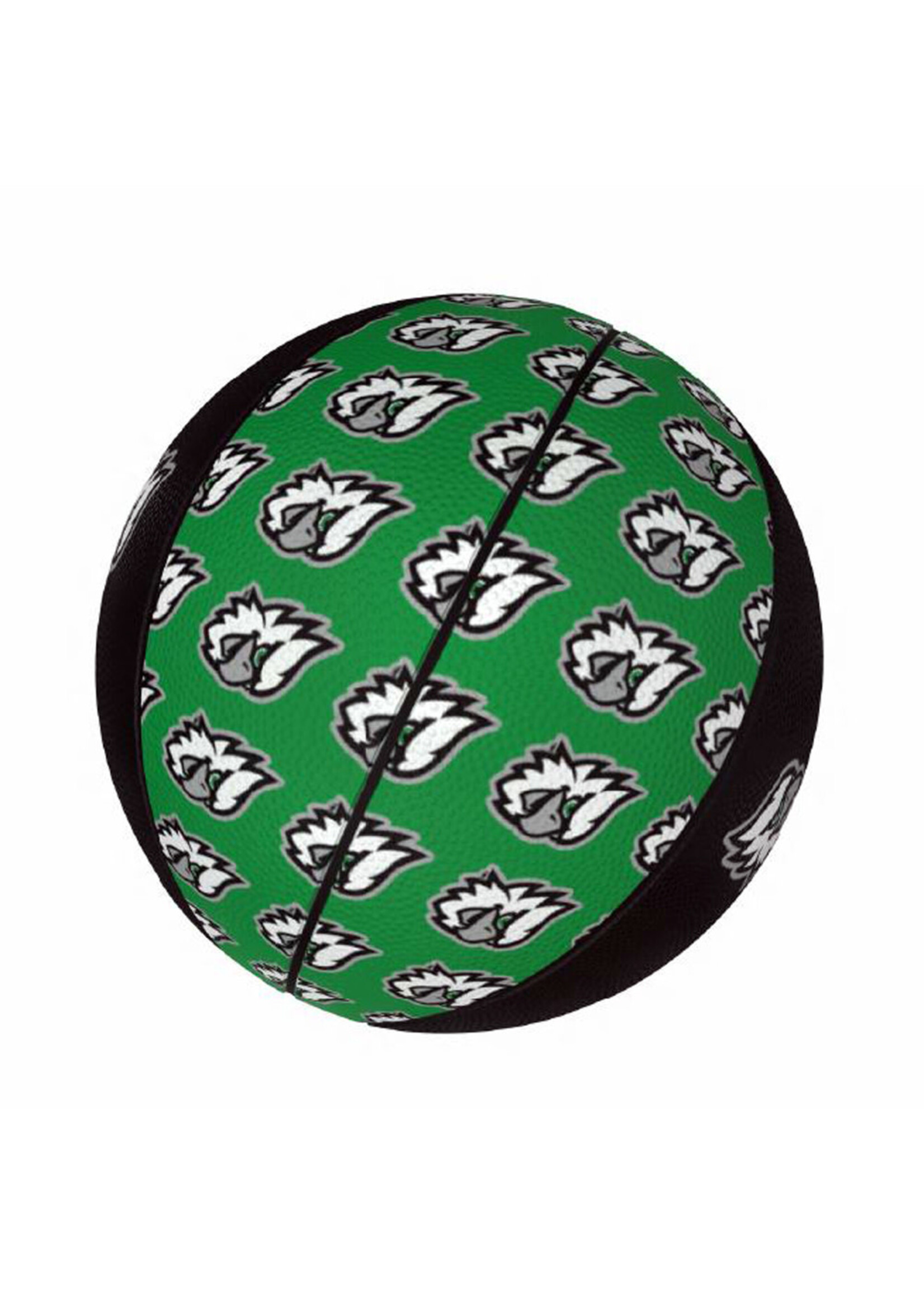 Logo Brands Fighting Hawks Mini Basketball