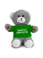 Hey Buddy UND Bear