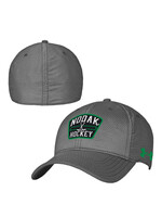 Under Armour Under Armour NODAK Zone Stretch Fit Hat