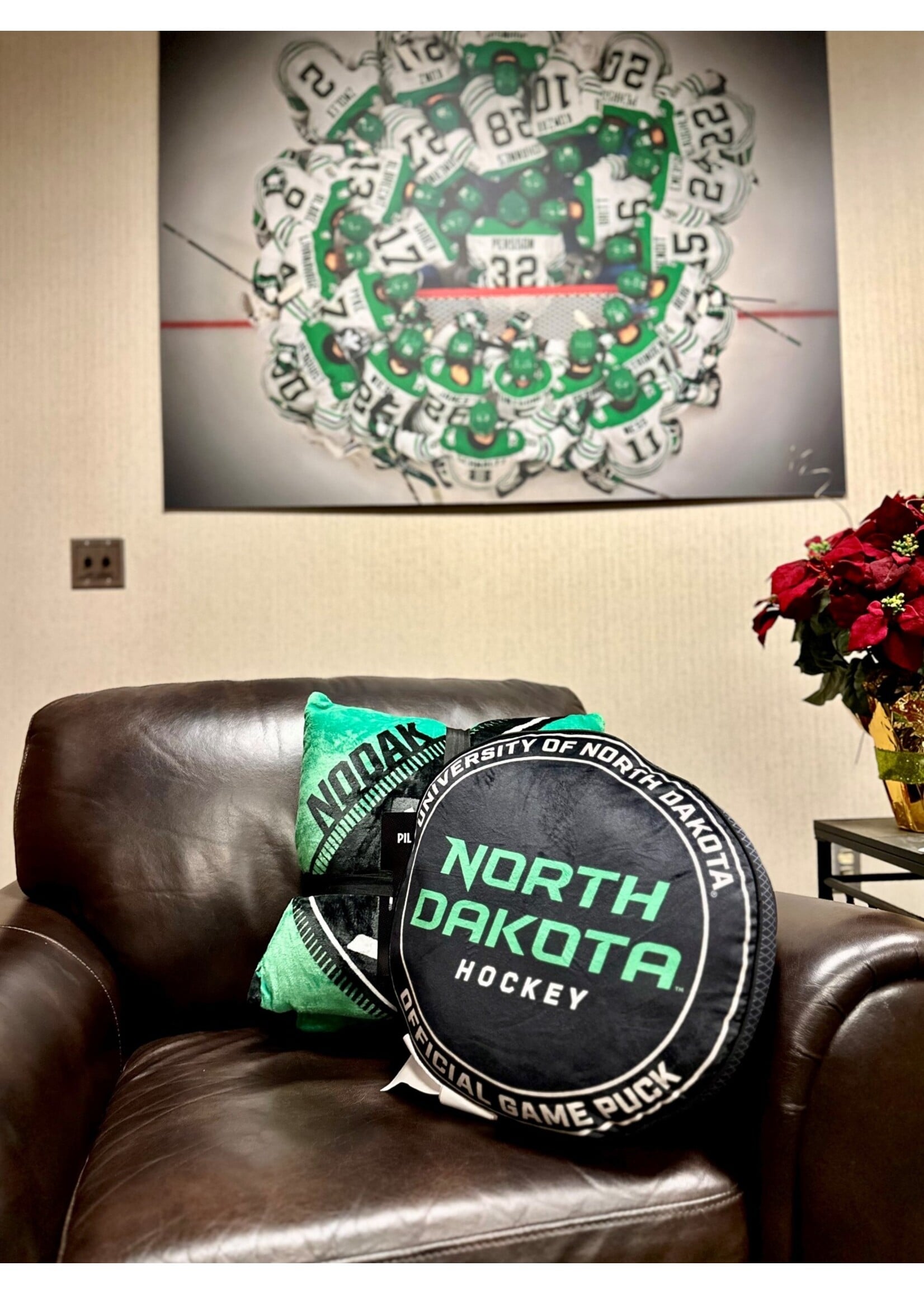 ND Hockey Puck Pillow