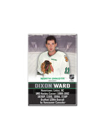 Wincraft UND Alumni Magnet Dixon Ward