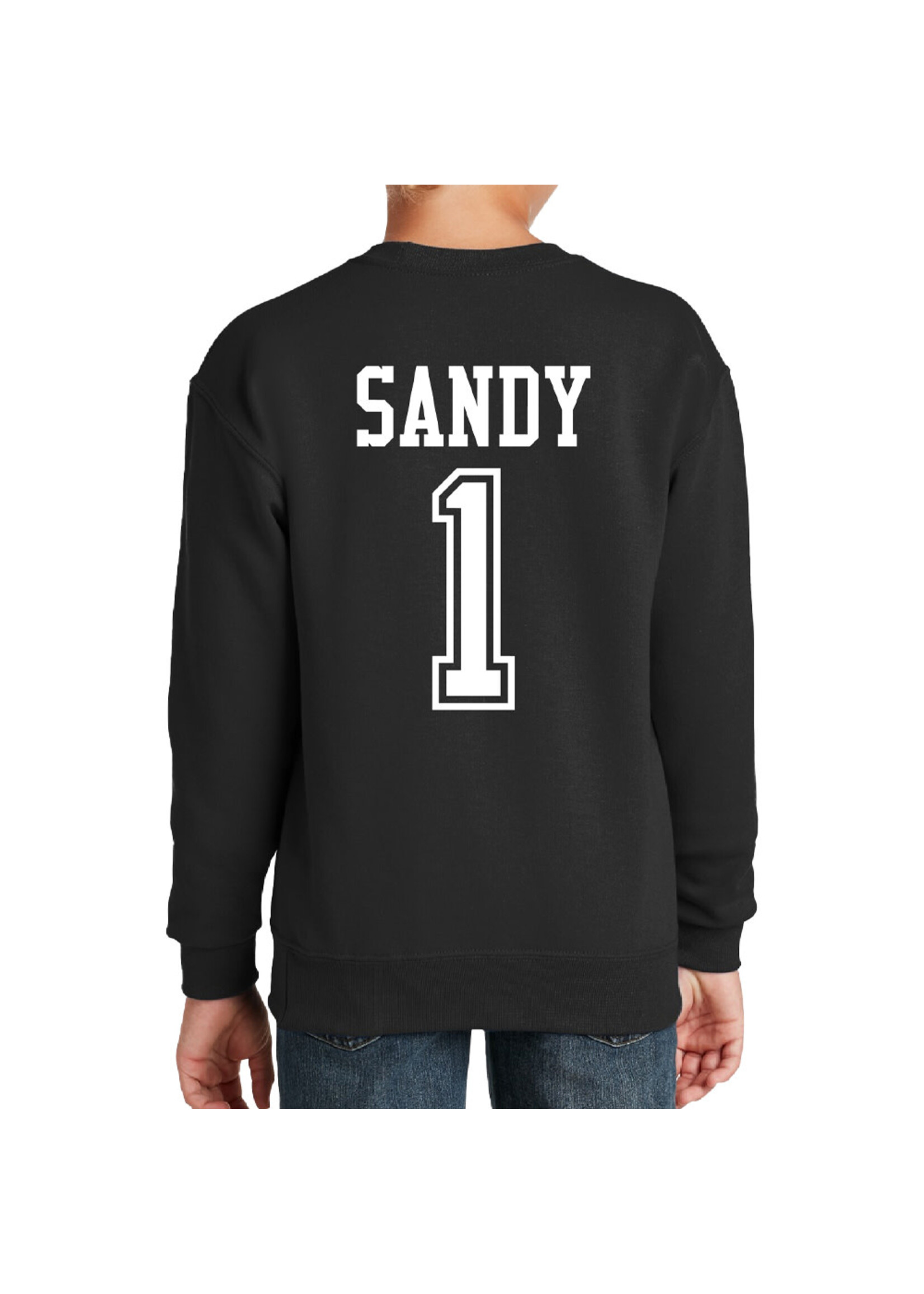 AHUNDYP #1 Zach Sandy North Dakota Hockey Sport Youth Crew