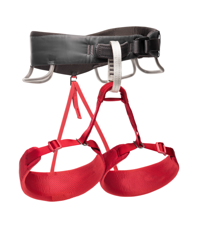 Women's Momentum Harness