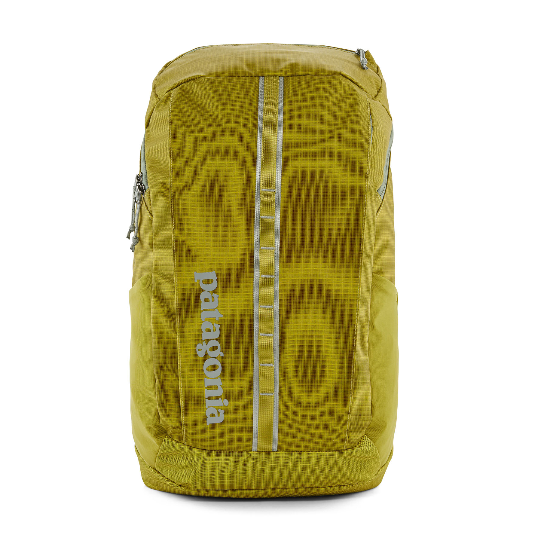 Patagonia Black Hole Pack 25L / Active Endeavors - Active Endeavors