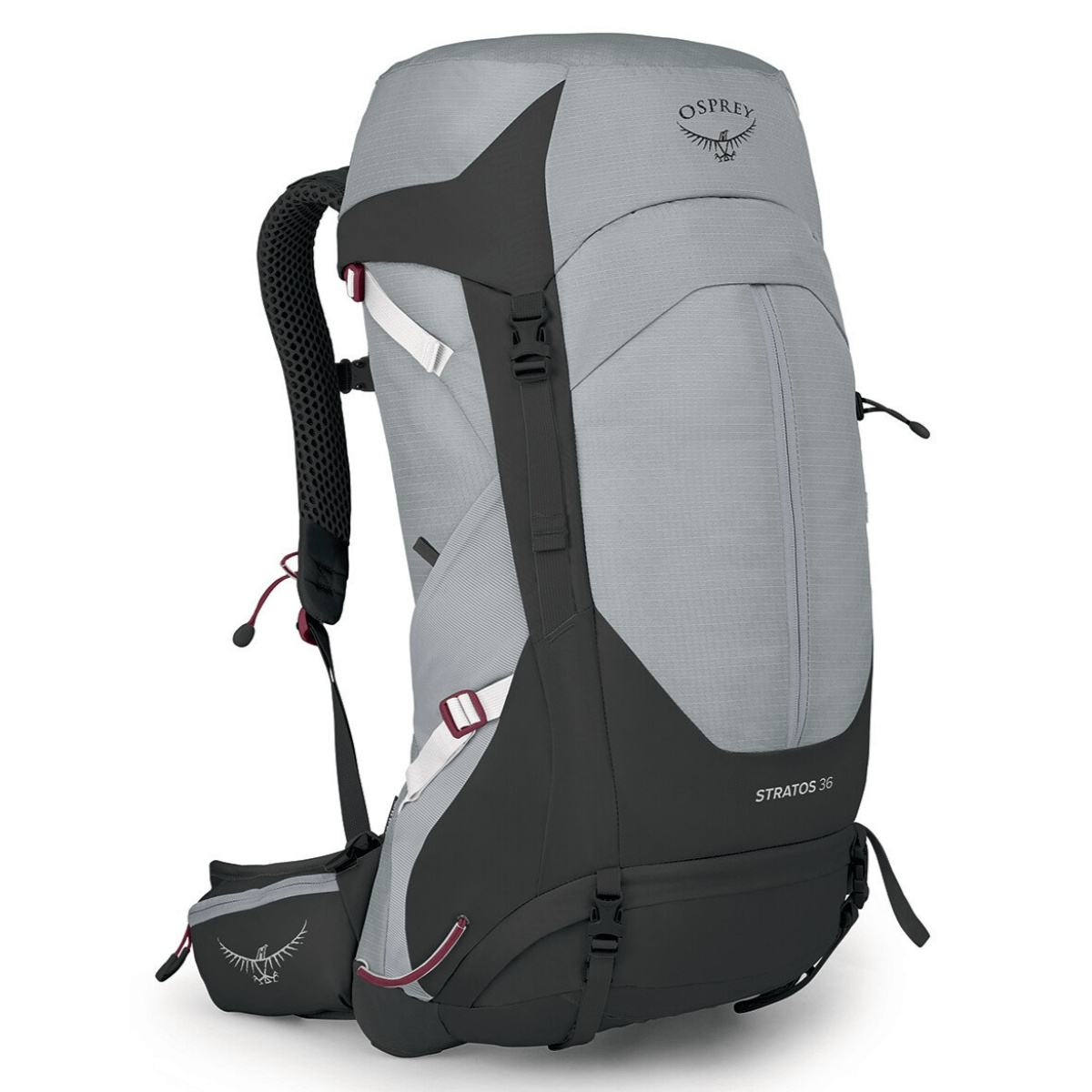 Osprey Stratos 36 バックパック グレー Osprey Stratos 36 / Active Endeavors - Active Endeavors