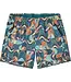 Men's Baggies Shorts - 5"