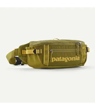 PATAGONIA Black Hole Waist Pack 5L