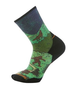 SMARTWOOL Trail Run Targeted Cushion Neature Print Crew Socks