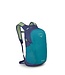 Daylite 13L