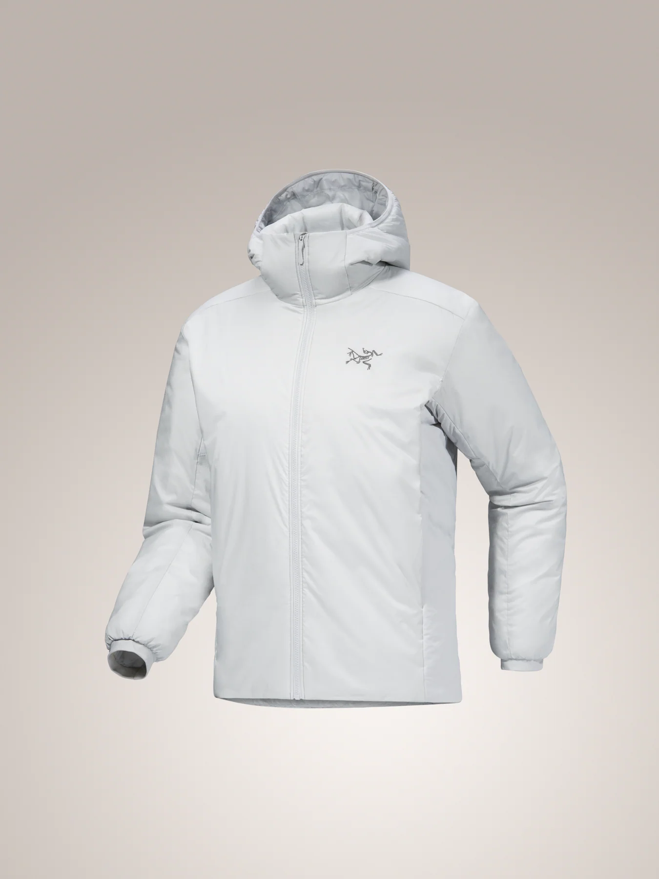 Arcteryx Men's Atom SV Hoody | Active Endeavors - Active Endeavors
