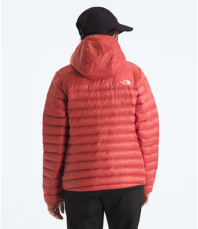 Women's Terra Peak Hoodie