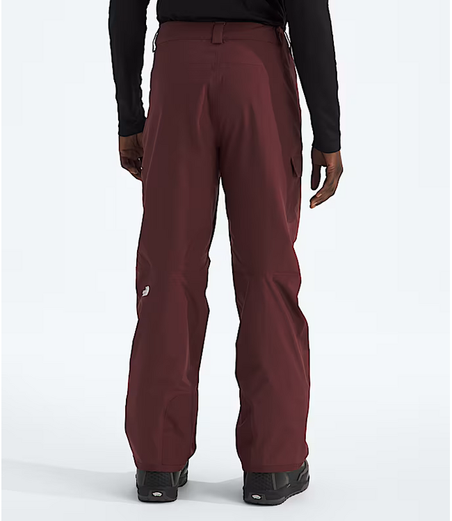 Men's Freedom Pant NF0A5ABV