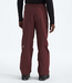 Men's Freedom Pant NF0A5ABV