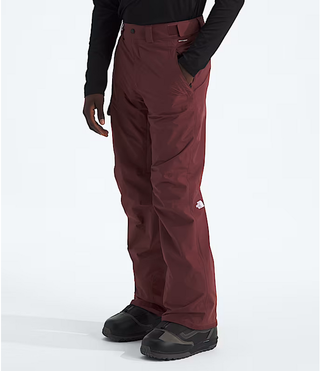 Men's Freedom Pant NF0A5ABV