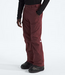 Men's Freedom Pant NF0A5ABV