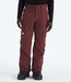 Men's Freedom Pant NF0A5ABV