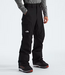 Men's Freedom Pant NF0A5ABV