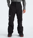 Men's Freedom Pant NF0A5ABV