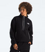 Women's TNF Fleeski 1/4 Zip Pullover