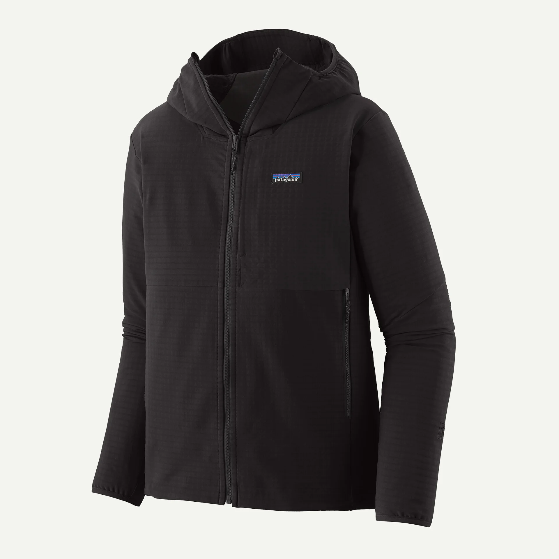 Patagonia Men's R1 TechFace Hoody | Active Endeavors - Active