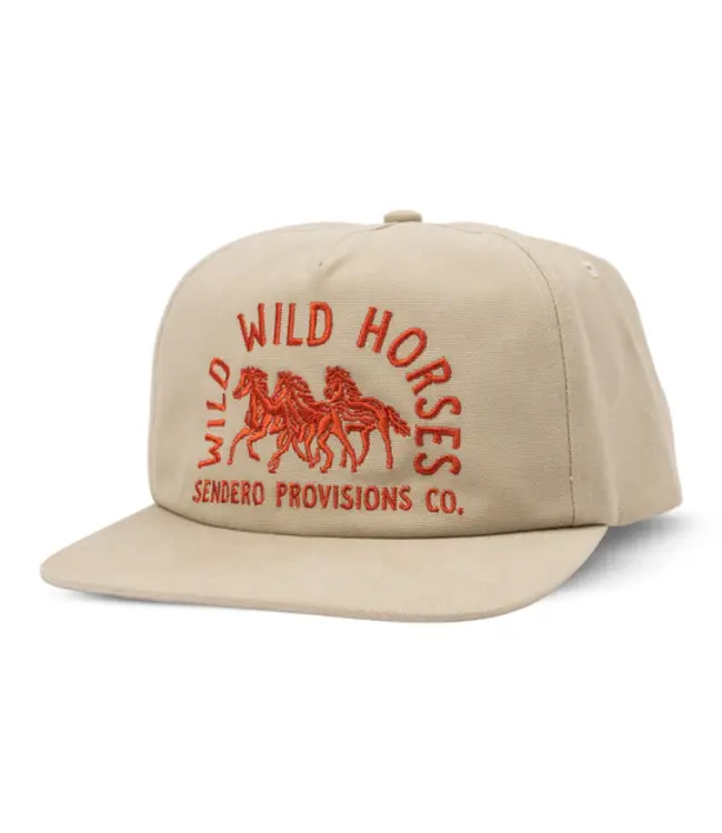 Wild Wild Horses Hat