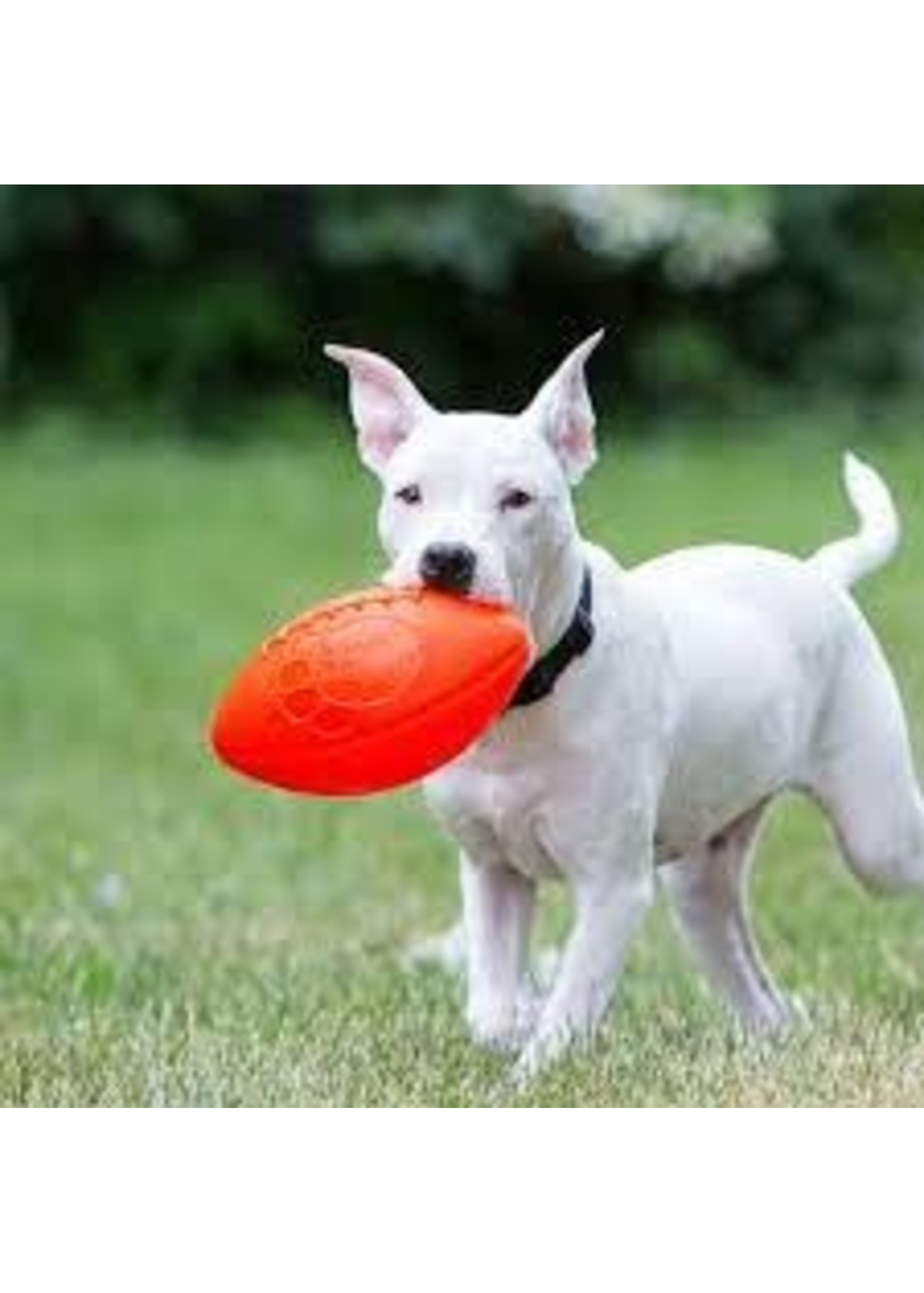 Jolly Pets Jolly Pet Football