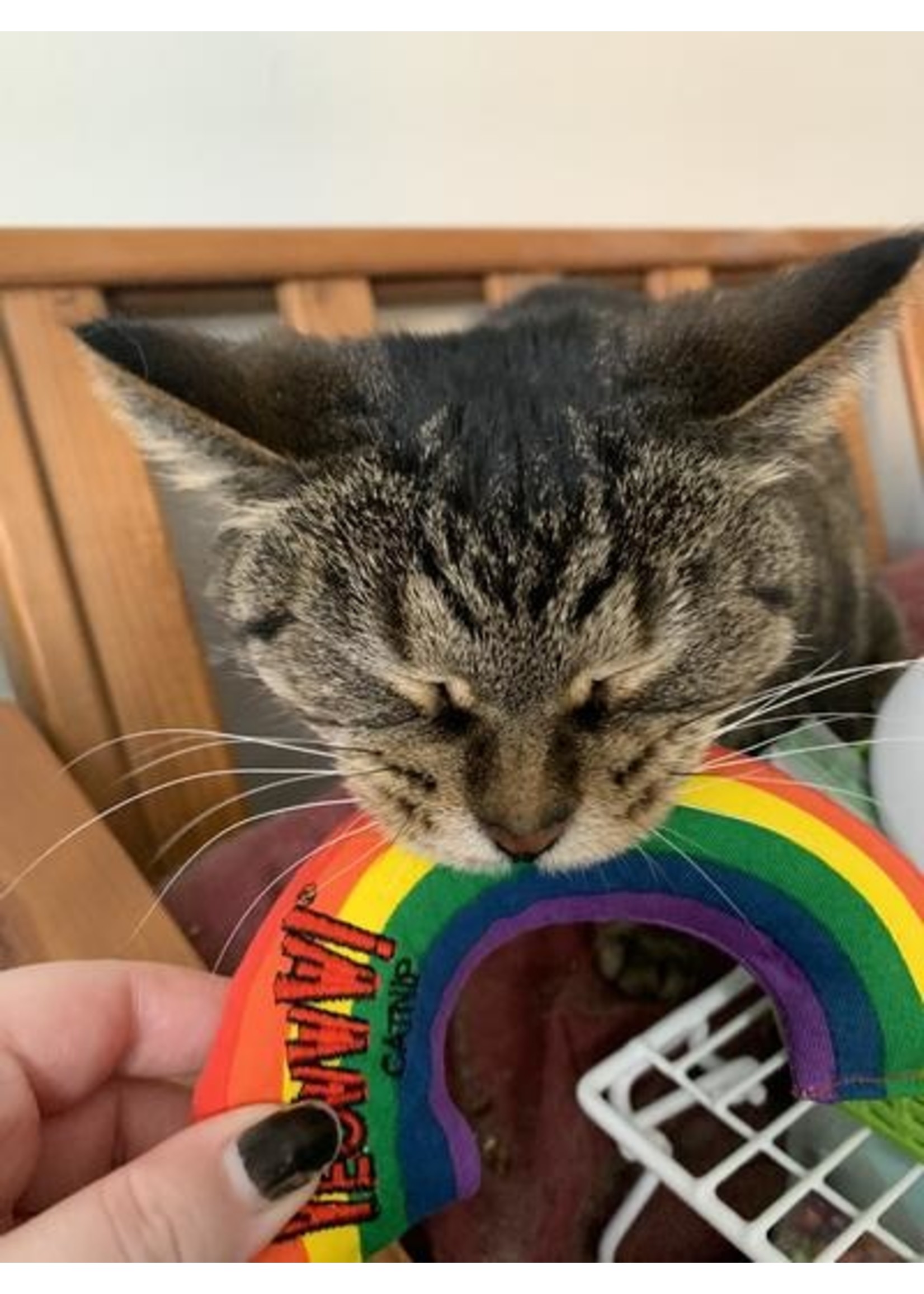 Yeowww! Yeowww rainbow catnip toy